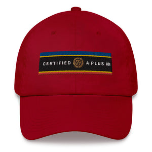 Certified Flag Strip Dad hat